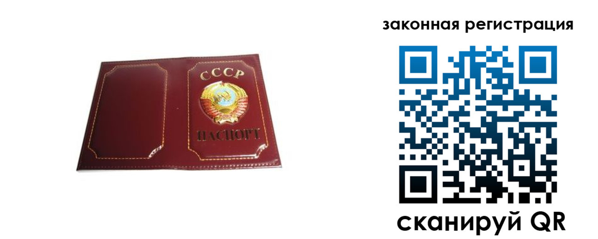 прописка поиск в Оленегорске
